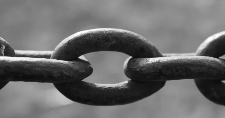 cadena que representa los enlaces o linkbuilding